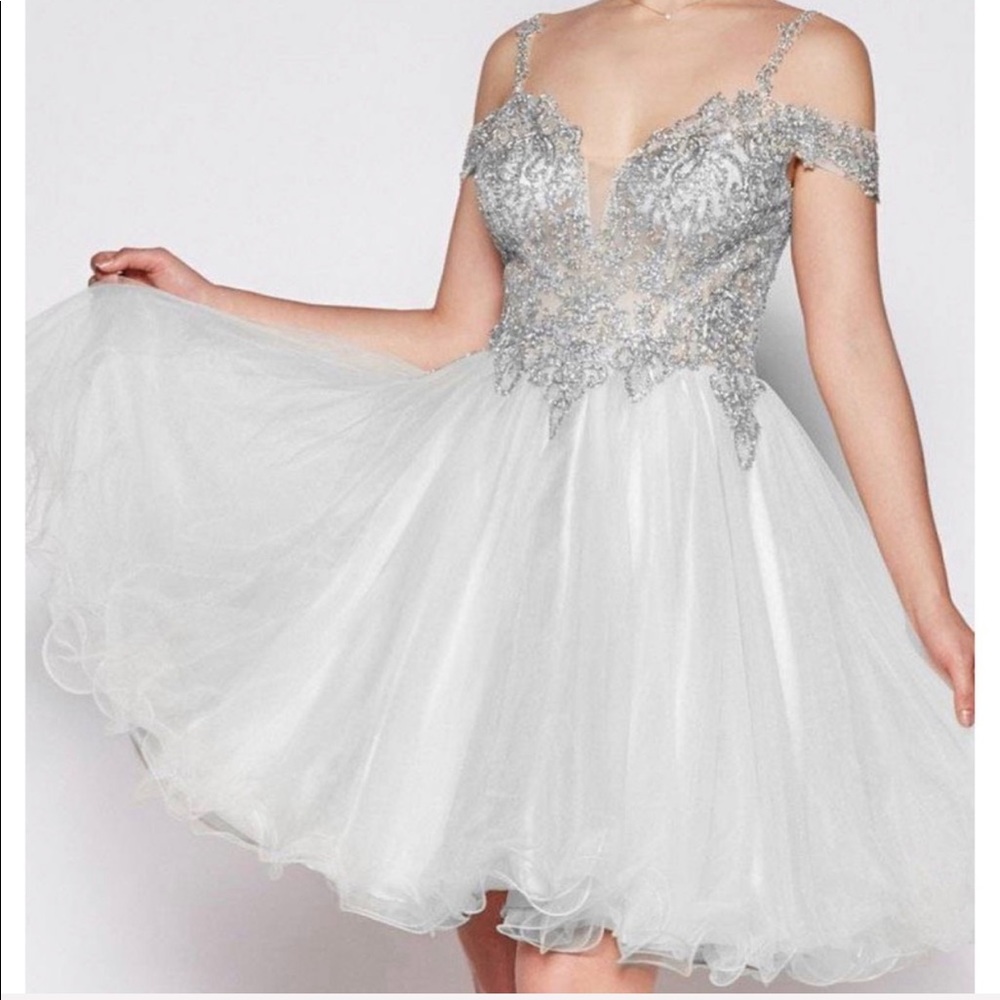 Silver dresses ! - Picture 5 of 6